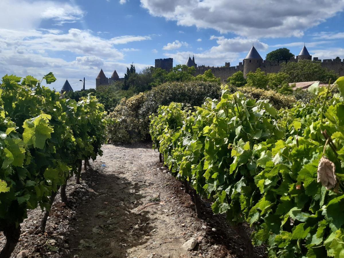 Domaine Fontgrande Gite Carcassonne Exterior photo
